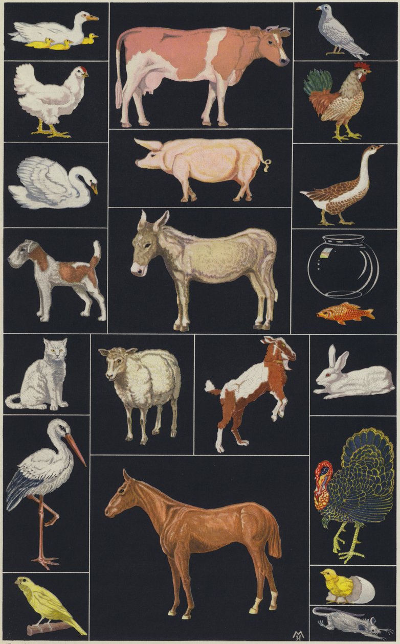 Seite aus einem Kinderbilderbuch, Tiere von European School