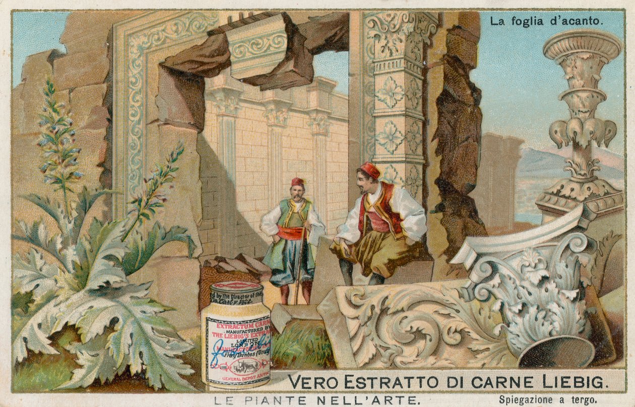 Pflanzen in der Kunst, Liebig-Karte, frühes 20. Jahrhundert von European School