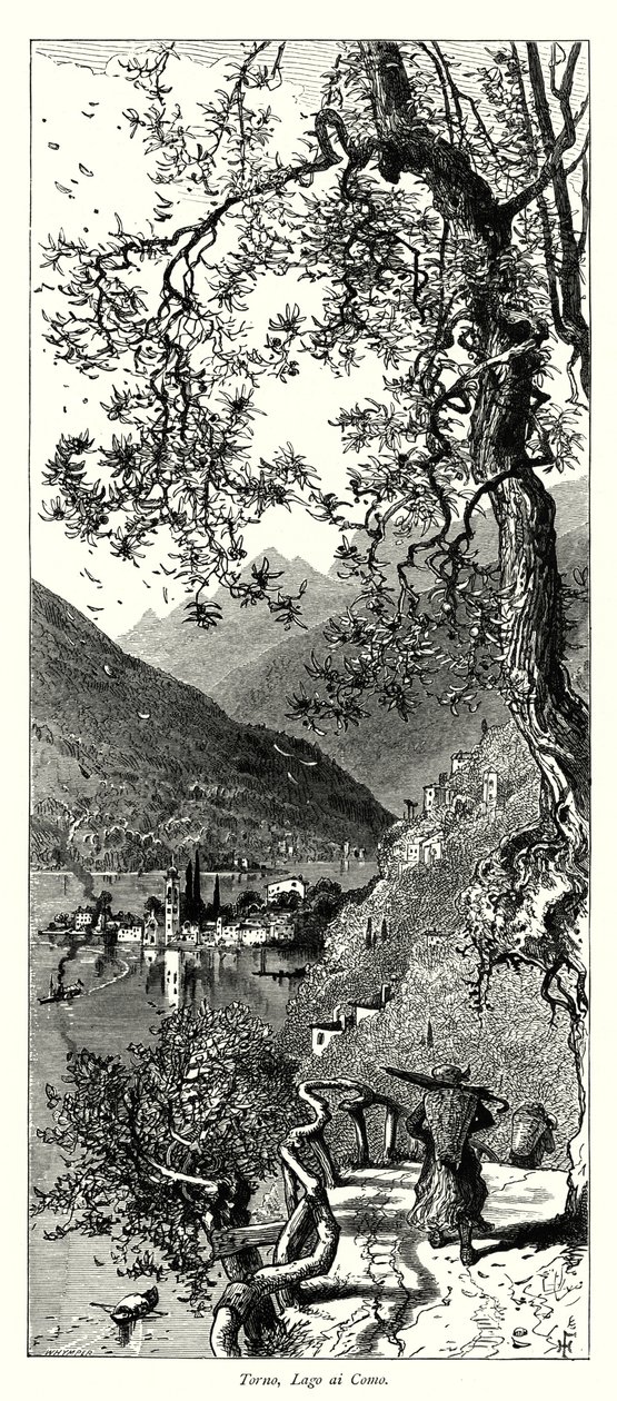 Torno, Lago di Como von European School