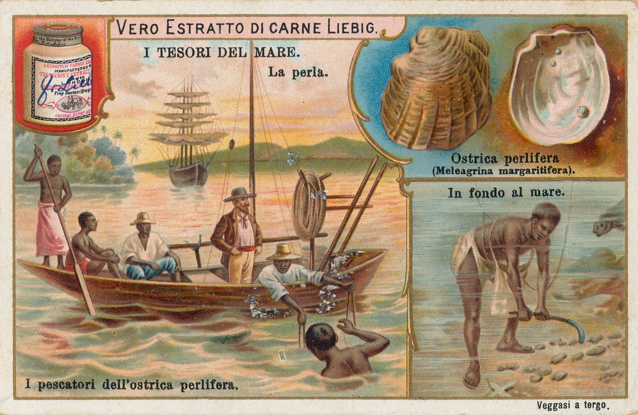 Schätze des Meeres, Liebig-Karte, frühes 20. Jahrhundert von European School