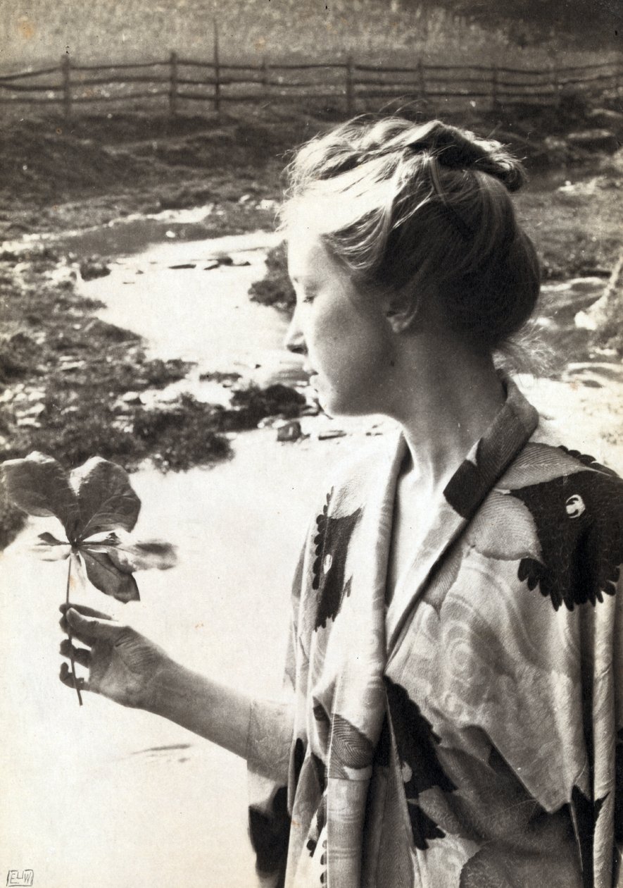 Das Maiapfelblatt von Eva Lawrence Watson-Schutze