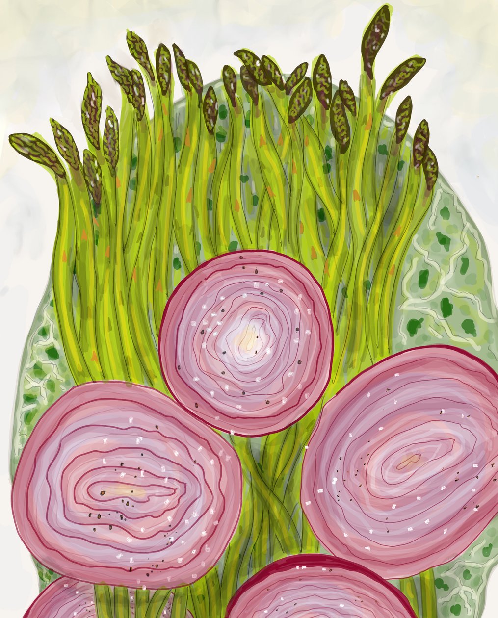 Spargel, Brooklyn von Evan Sklar