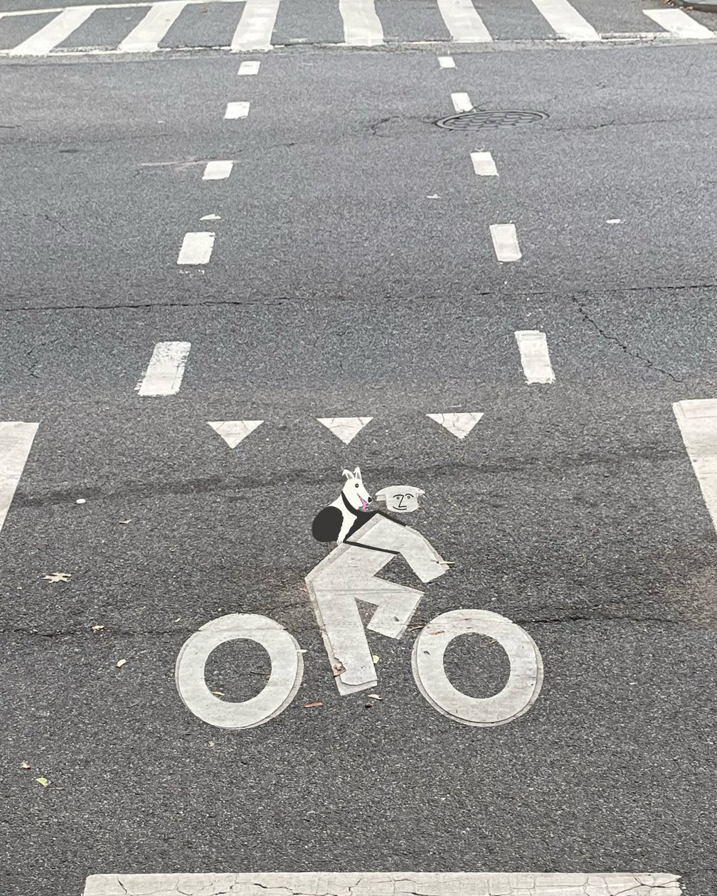 Fahrradweg-Beschilderung auf der Straße von Evan Sklar