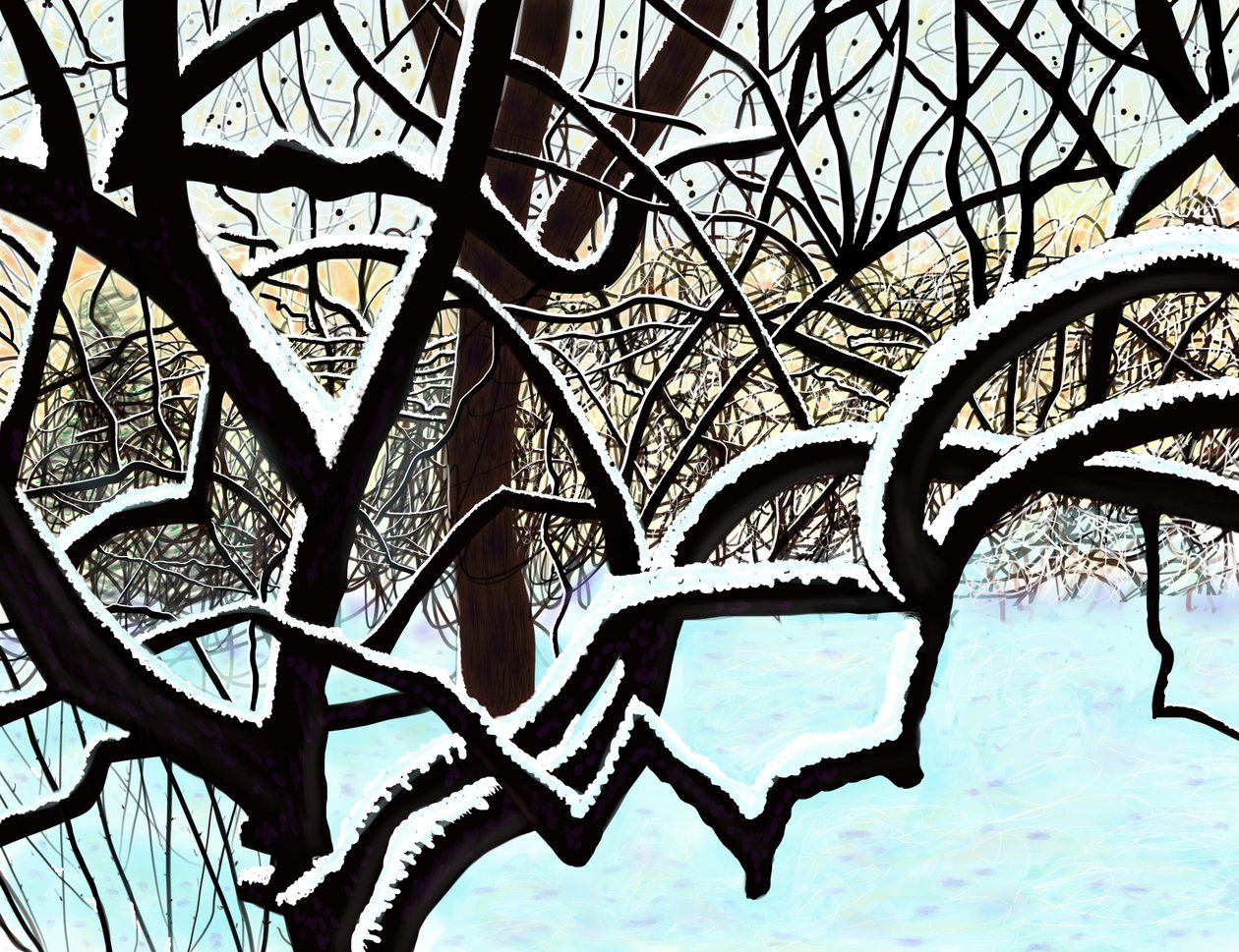 Kirschbaum im Schnee, Brooklyn von Evan Sklar