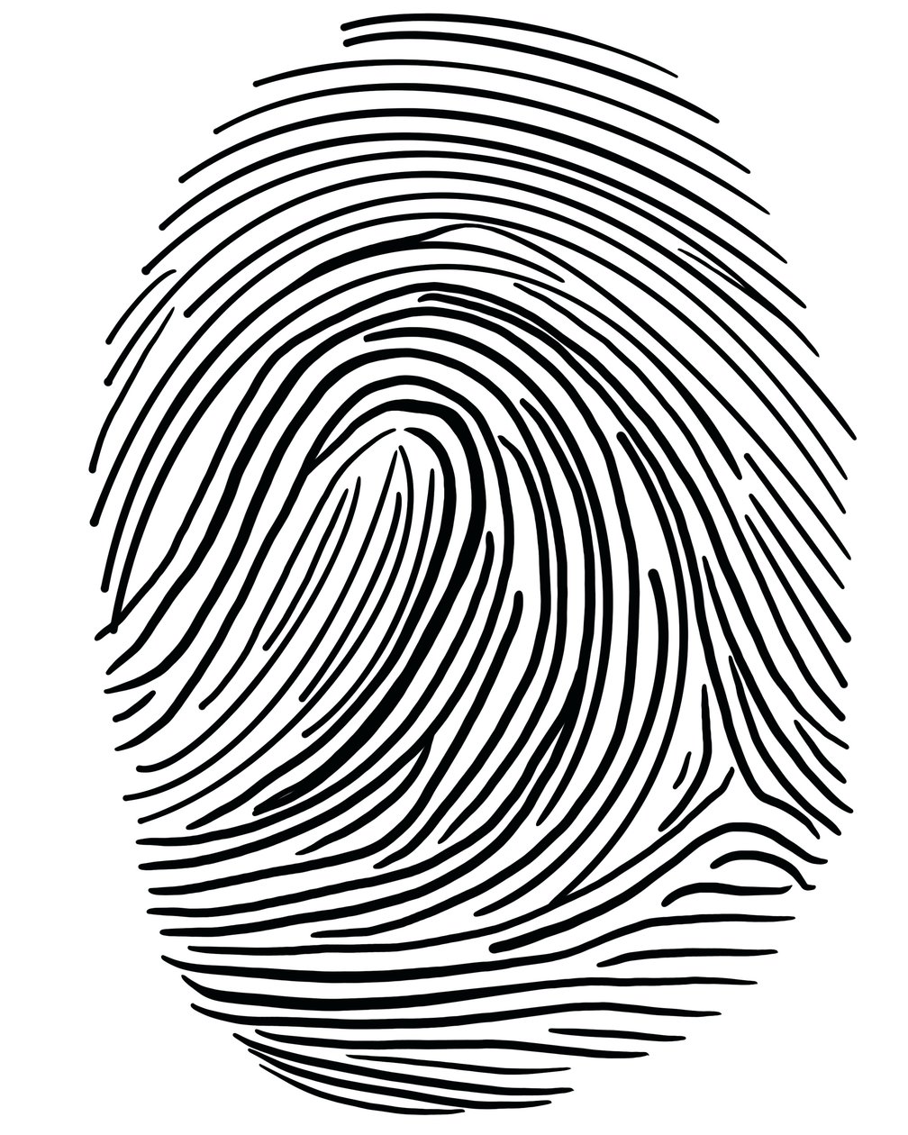Zeichnung eines Fingerabdrucks Brooklyn von Evan Sklar