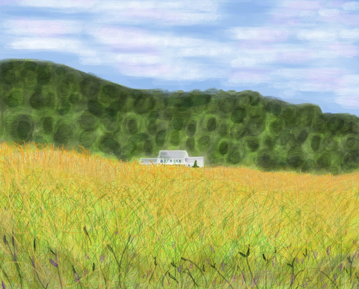 Feld und Bauernhaus in Vermont, 2018 von Evan Sklar