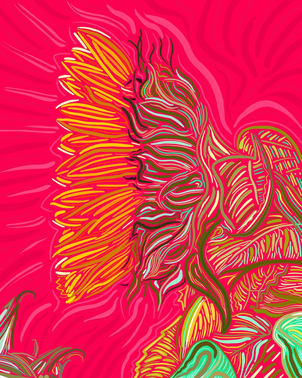 Einzelne Sonnenblume, ca. 2020-24 von Evan Sklar