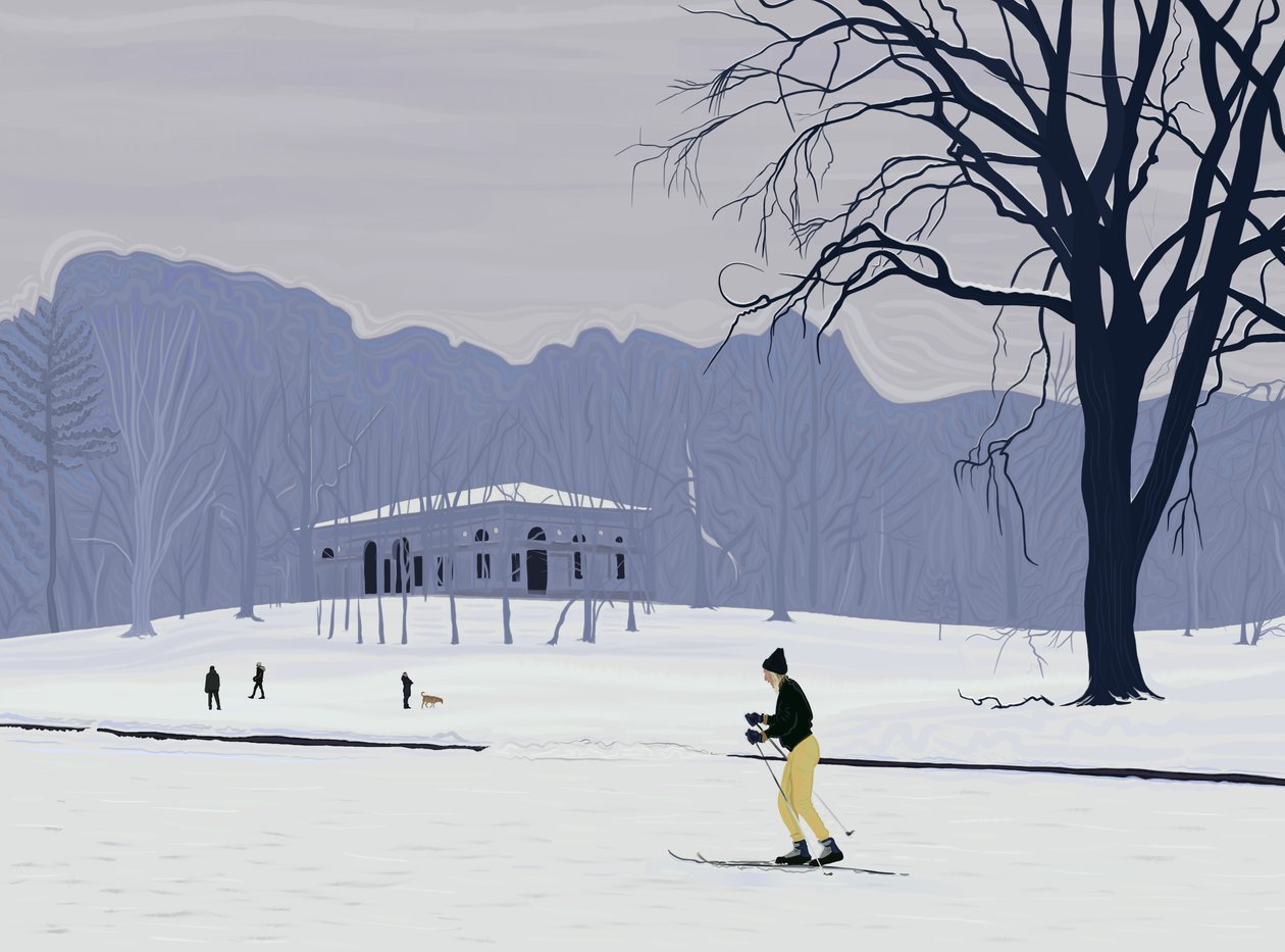 Skifahrer, Prospect Park, Brooklyn von Evan Sklar