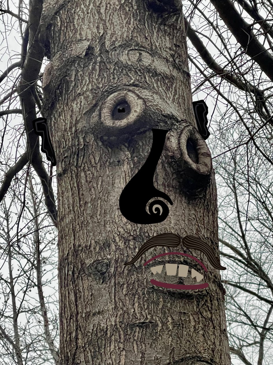 Baumgesicht von Evan Sklar
