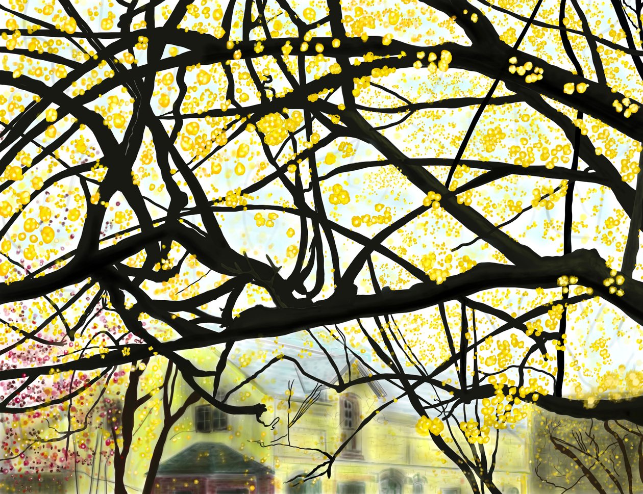 Gelber blühender Baum, Brooklyn von Evan Sklar