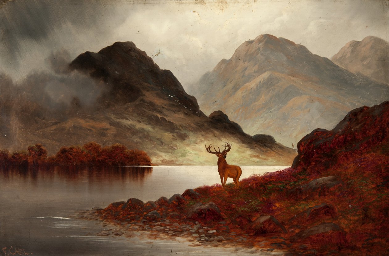 Hirsch in der Bucht von F. Carl