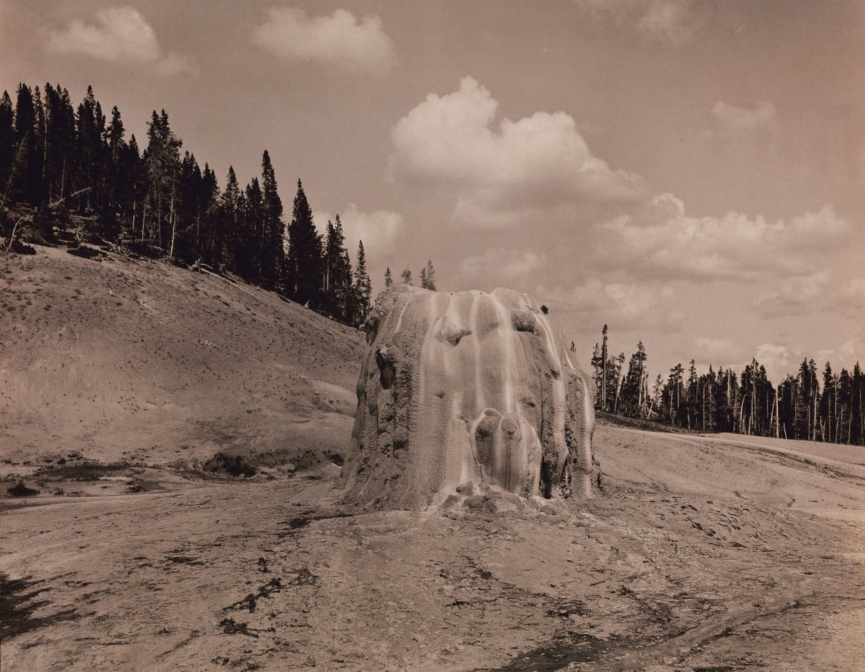 Lone Star Geyser Kegel, Yellowstone Nationalpark von F. Jay Haynes