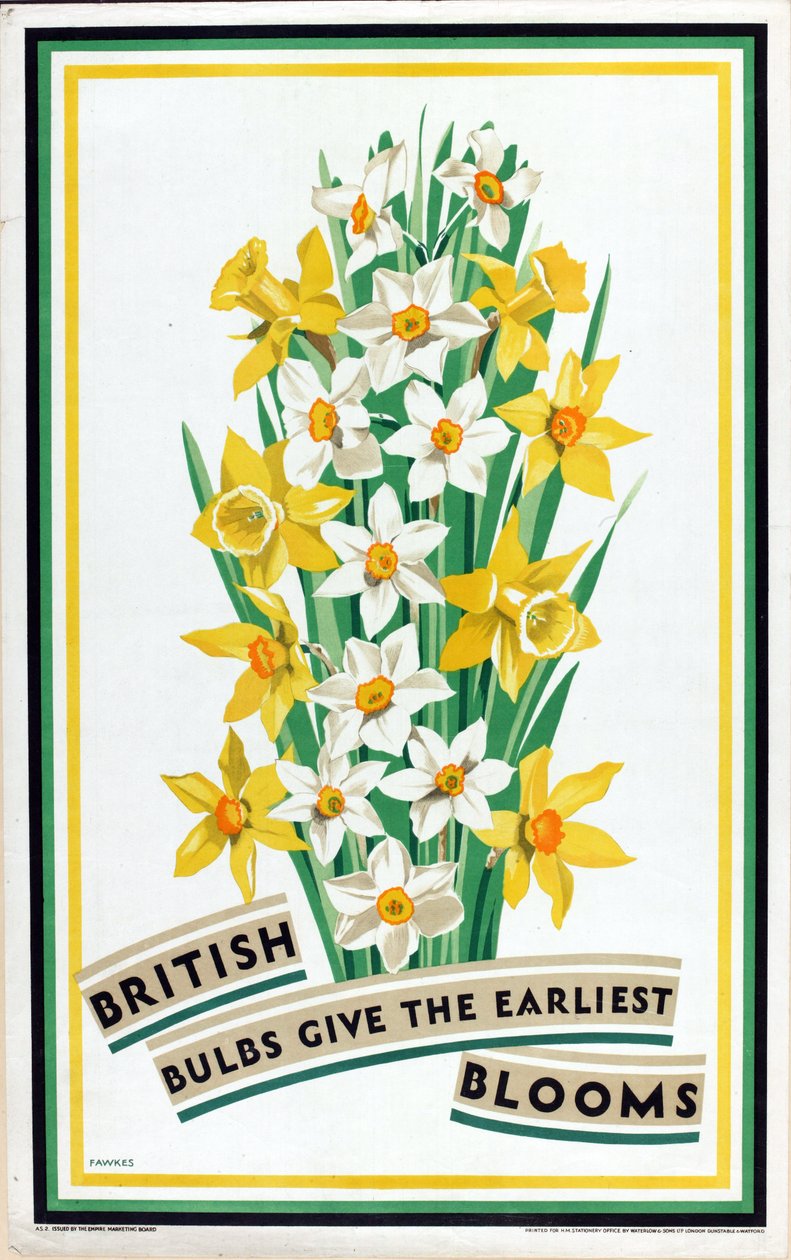 Britische Zwiebeln bringen die frühesten Blüten, aus der Serie 