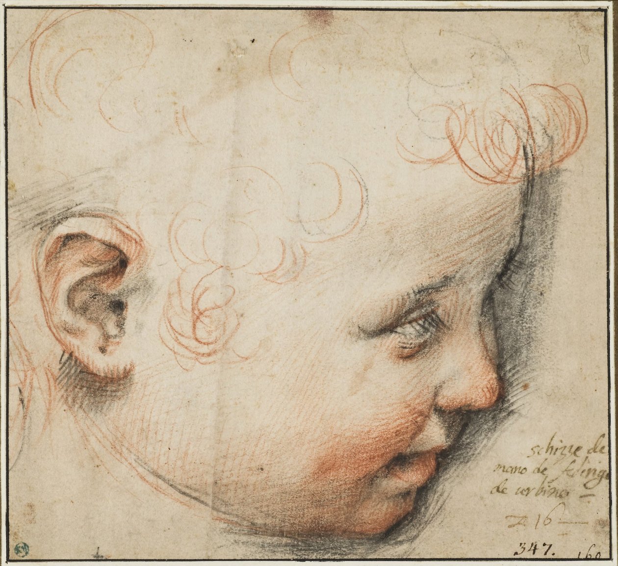 Kopf eines Kindes im Profil; Vielleicht für das Jesuskind von Federico Barocci