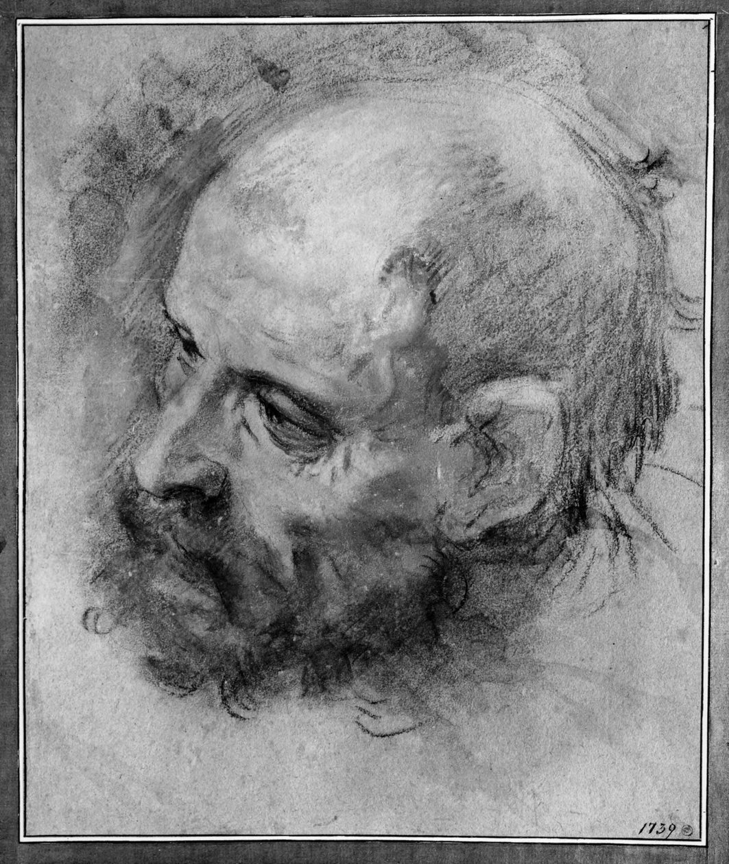 Kopf eines bärtigen Mannes, nach links gewandt und zur Seite geneigt von Federico Barocci