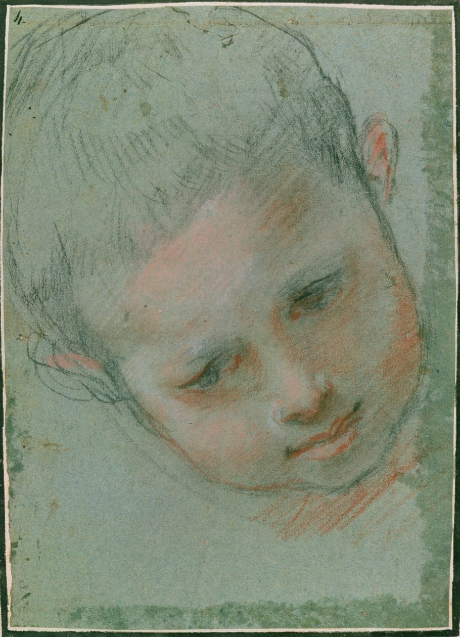 Der Kopf eines Jungen, ca. 1586-89 von Federico Fiori Barocci or Baroccio