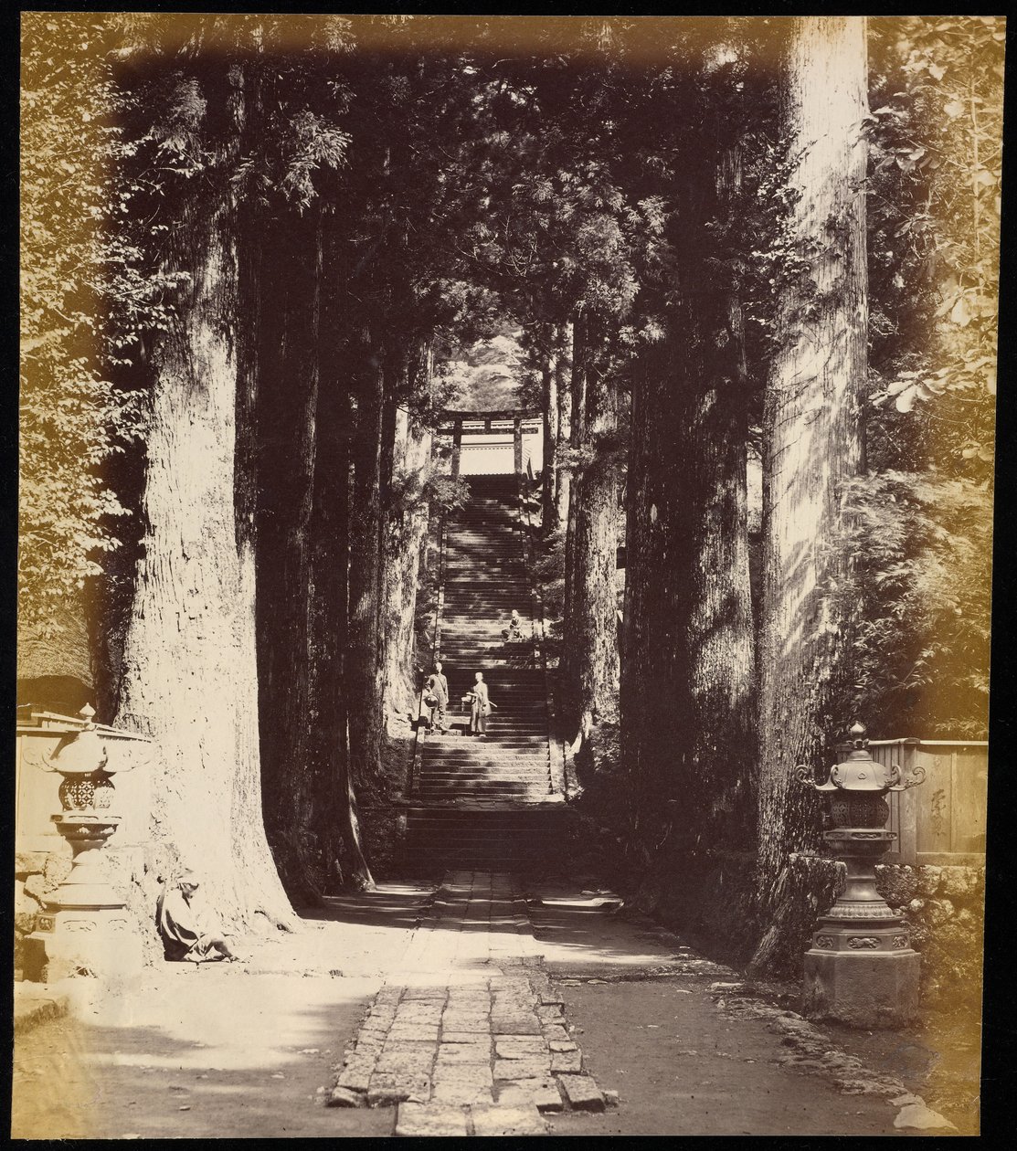 Allee von Bäumen, die zu einem Tempel in Hakoni führen von Felice Beato