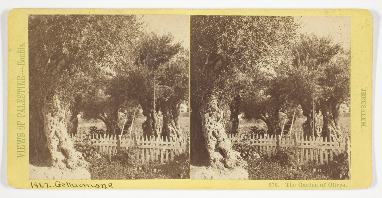 Der Garten der Oliven, Jerusalem, Nr. 576 aus der Serie "Ansichten von Palästina" von Félix Bonfils