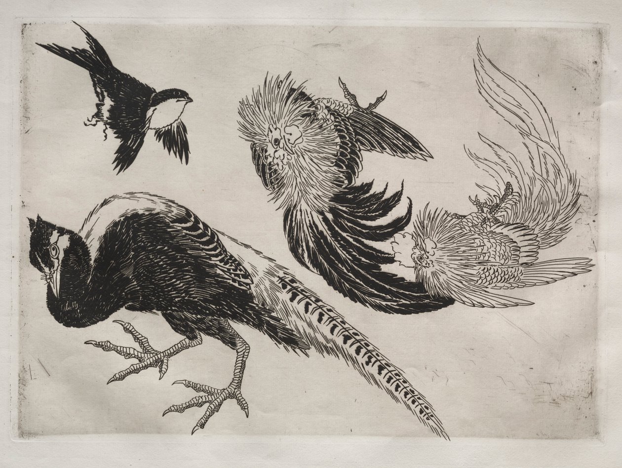 Tafelservice Rousseau: Fasane und Vogel Nr. 18, 1866 von Felix Bracquemond