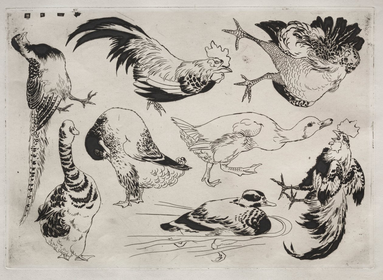 Tafelservice Rousseau: Hähne, Enten usw. Nr. 13, 1866 von Felix Bracquemond