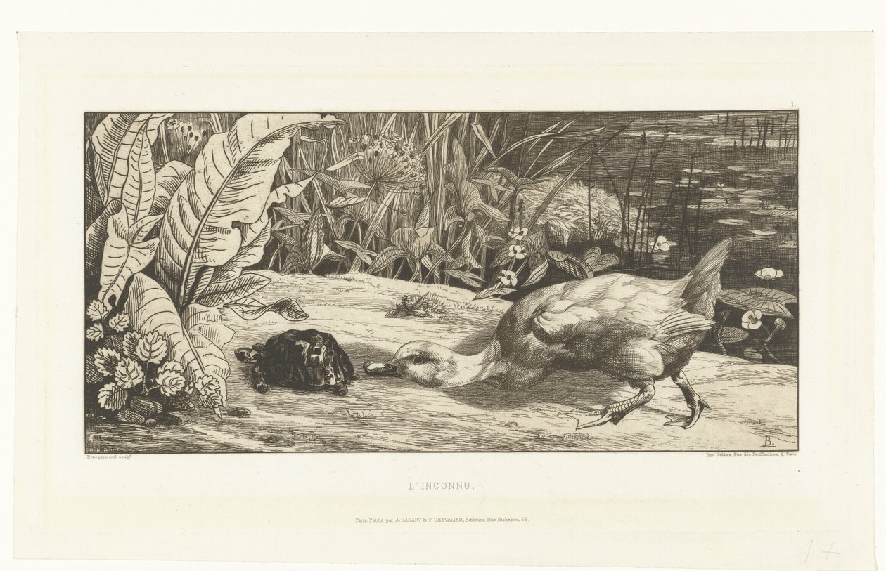 Ente und Schildkröte am Ufer eines Grabens von Felix Bracquemond