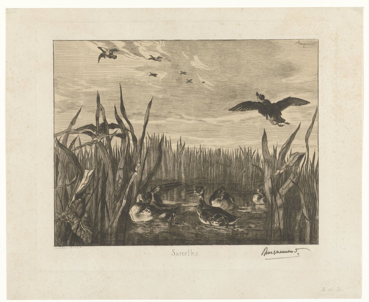 Landschaft mit Enten im Wasser zwischen Schilf von Felix Bracquemond