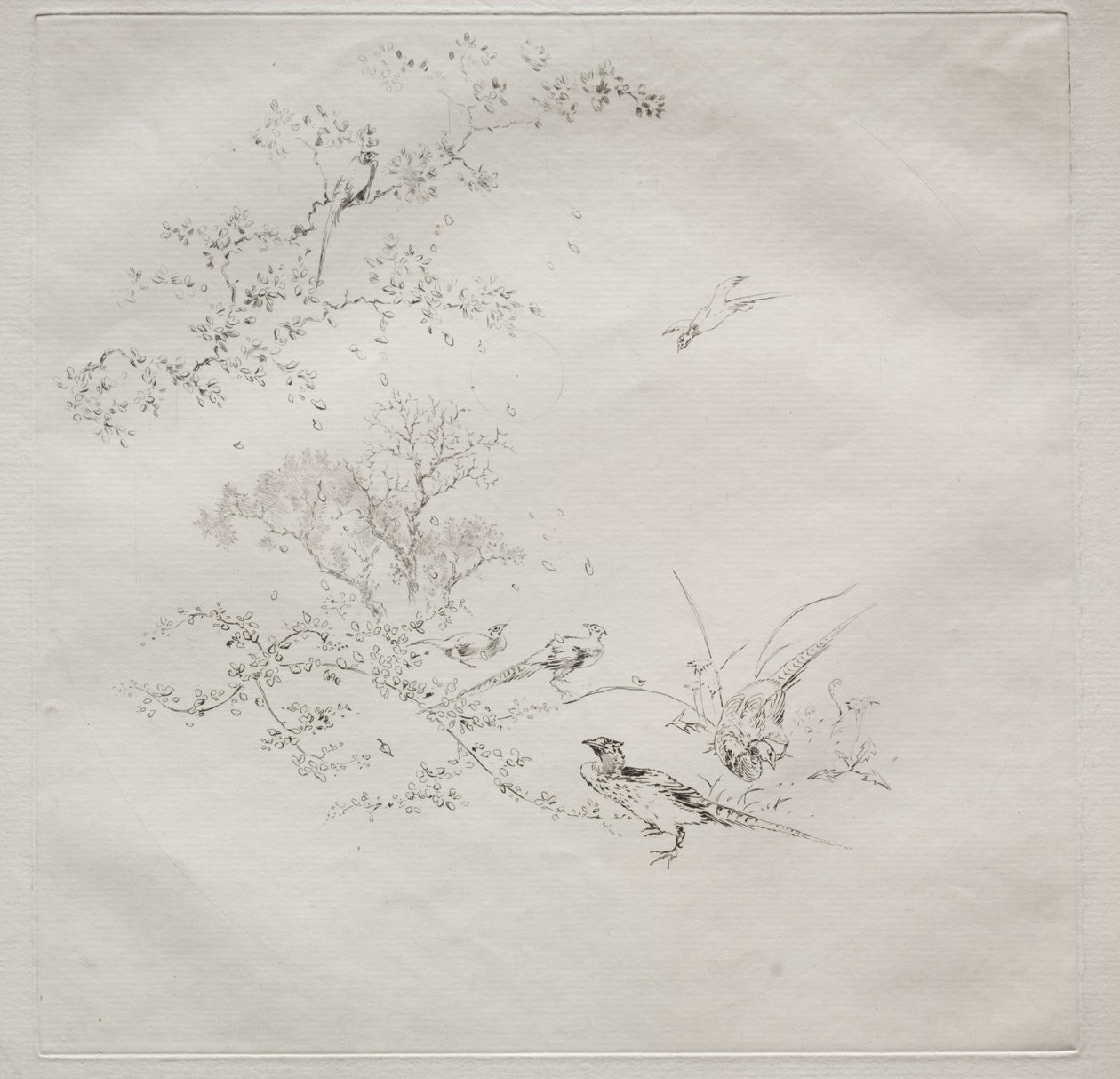 Pariser Service Haviland Service: Nebel Nr. 1, 1875 von Felix Bracquemond