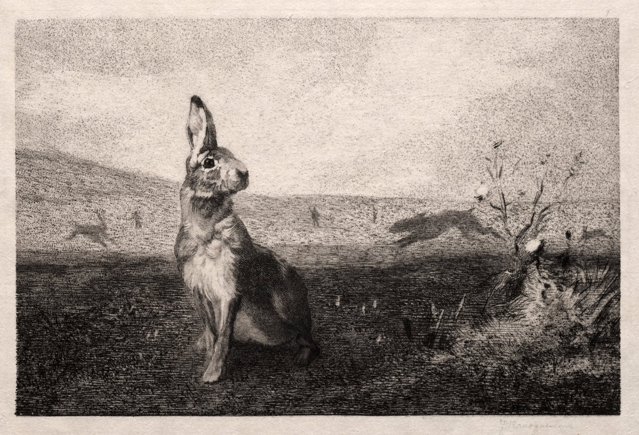 Der Hase nach A. de Balleroy, 1865 von Felix Bracquemond