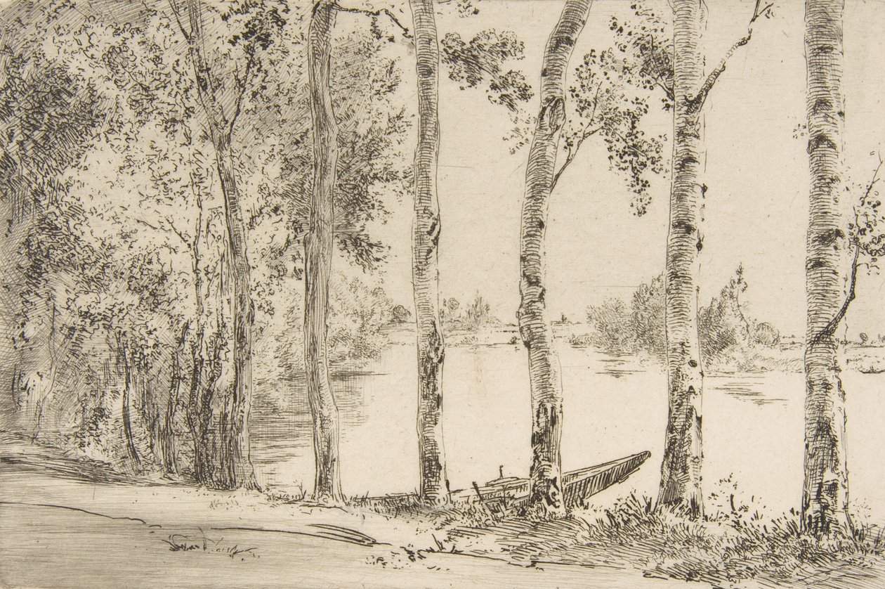 Trembles am Ufer der Seine, ca. 1884 von Felix Bracquemond