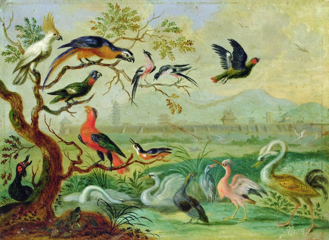 Vögel von den vier Kontinenten in einer Landschaft mit Blick auf Peking im Hintergrund von Ferdinand van Kessel