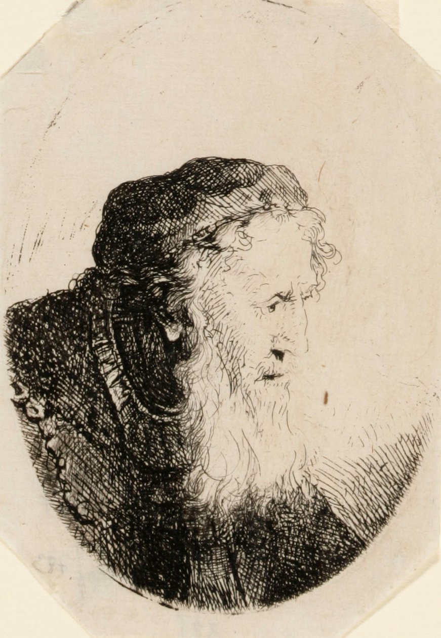 Alter Mann mit wallendem Bart von Ferdinand Bol
