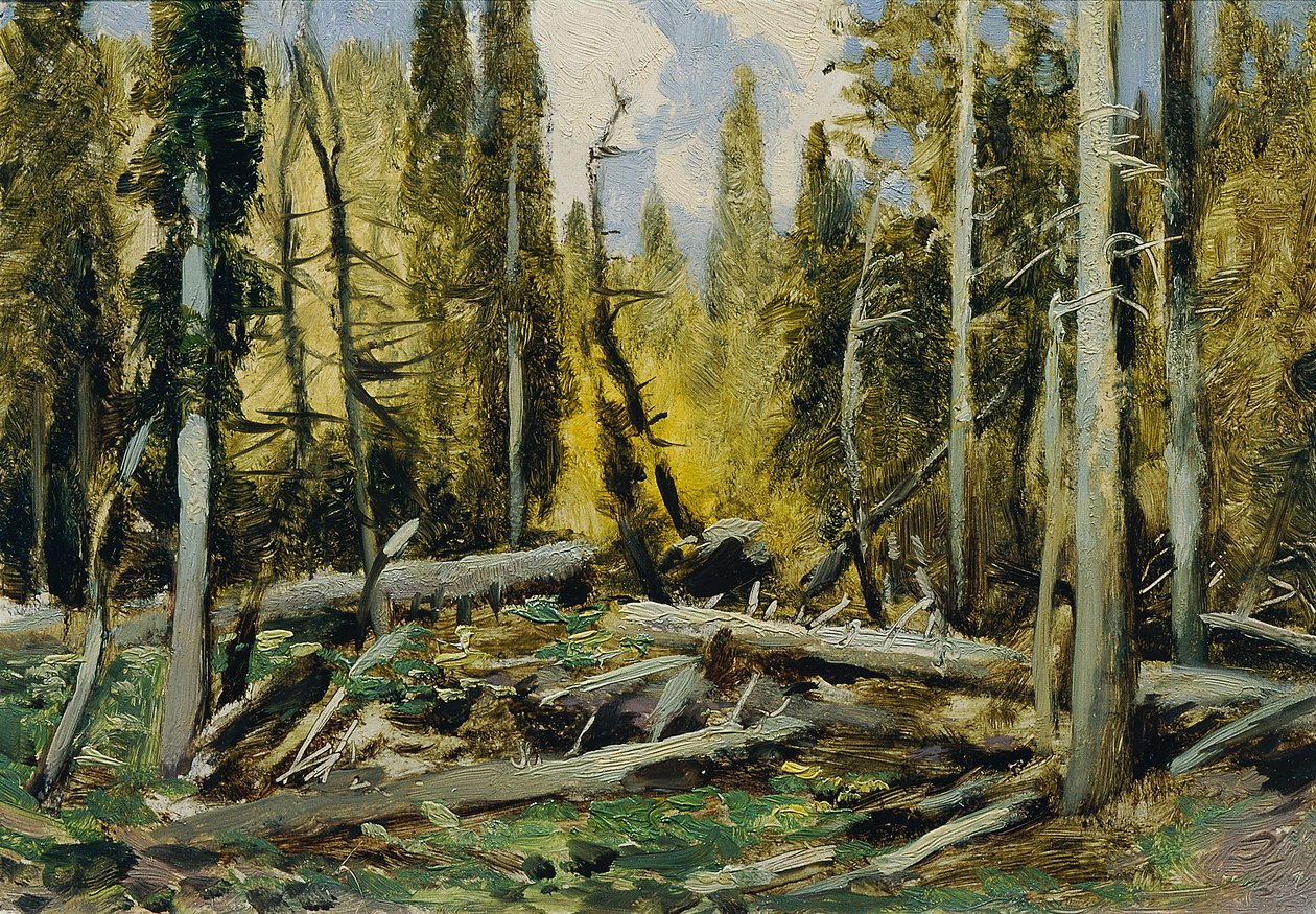 Böhmerwald (aus der Mappe „16 Ansichten tschechischer Landschaften 