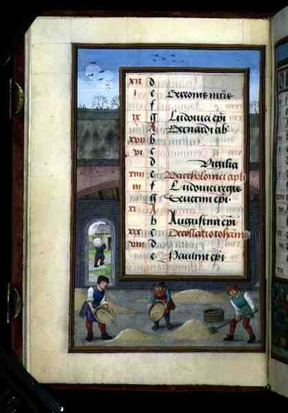 Ms 1058-1975 f8v Kornworfeln in einer Scheune, illuminierte Kalenderseite für August, aus einem Stundenbuch, ca. 1500 von Flemish School