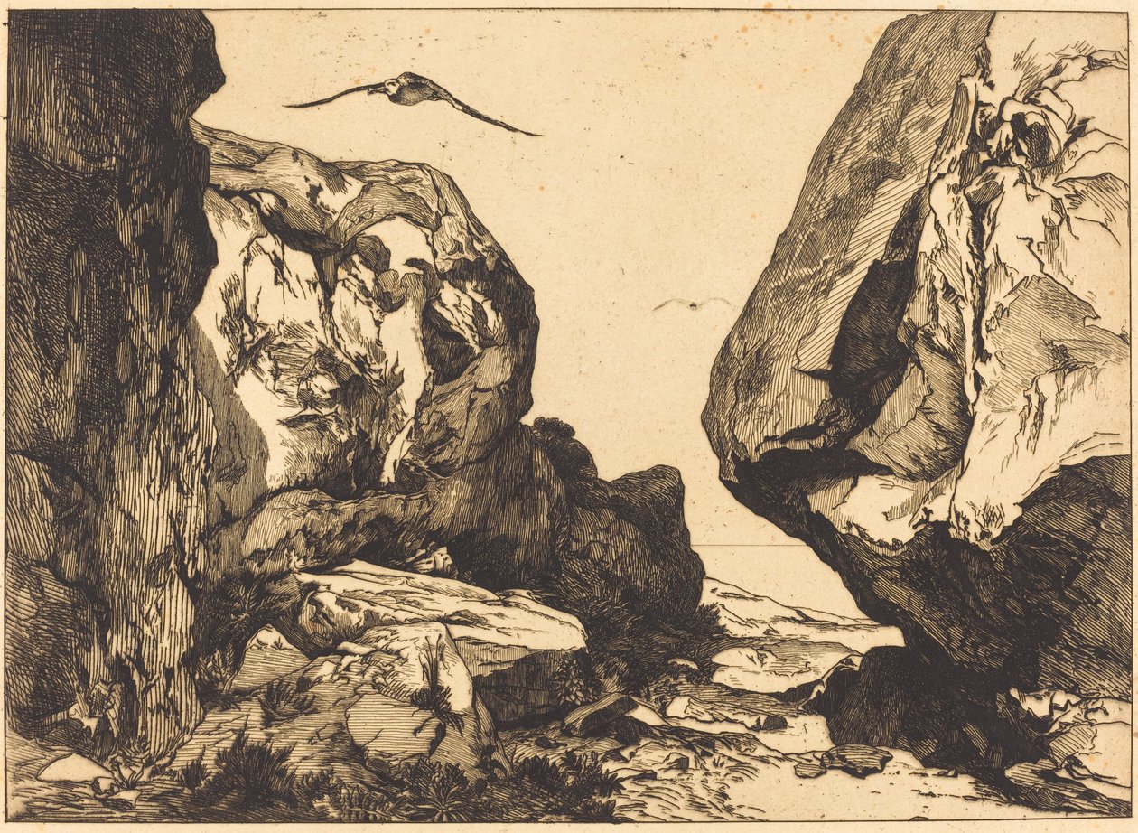 Schlucht in den Felsen (Gorge dans les rochers) von Félix Bracquemond after Jules Laurens