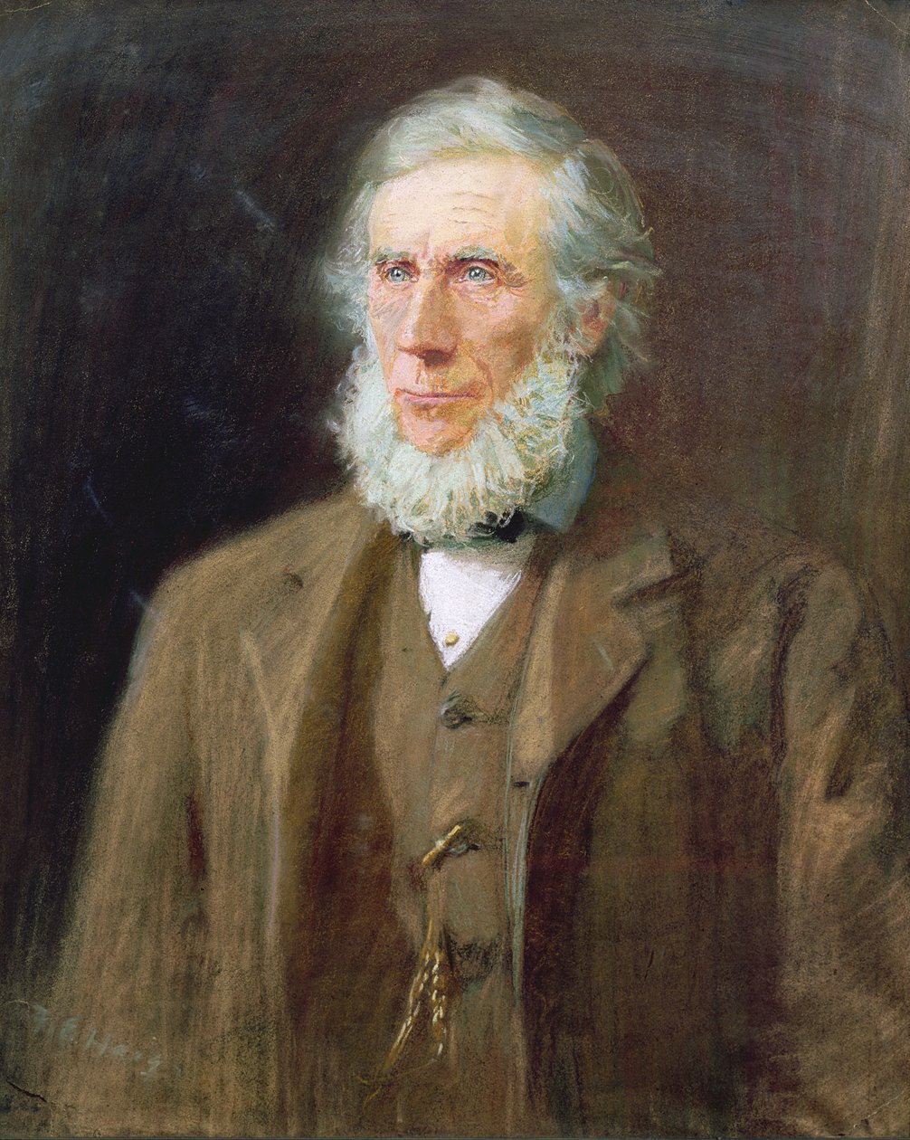 Porträt von John Tyndall (1820-93) von Florence E. Haig