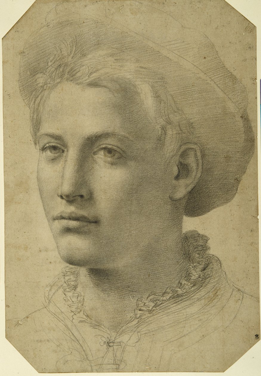 Porträtkopf eines Jugendlichen mit Mütze, ca. 1530-40 von Florentine School