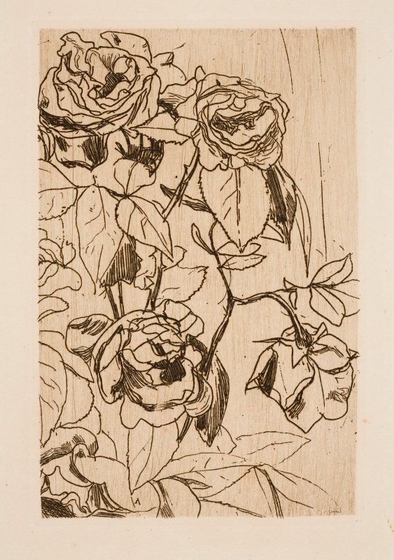Studie von Rosen von Floris Verster