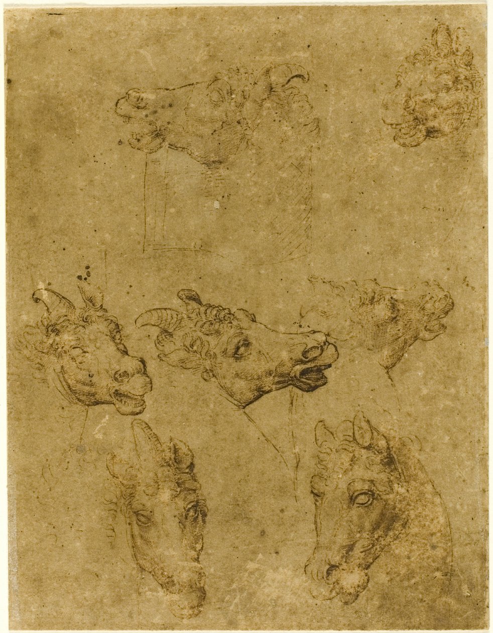 Köpfe von Pferden und Einhörnern von Follower of Leonardo da Vinci