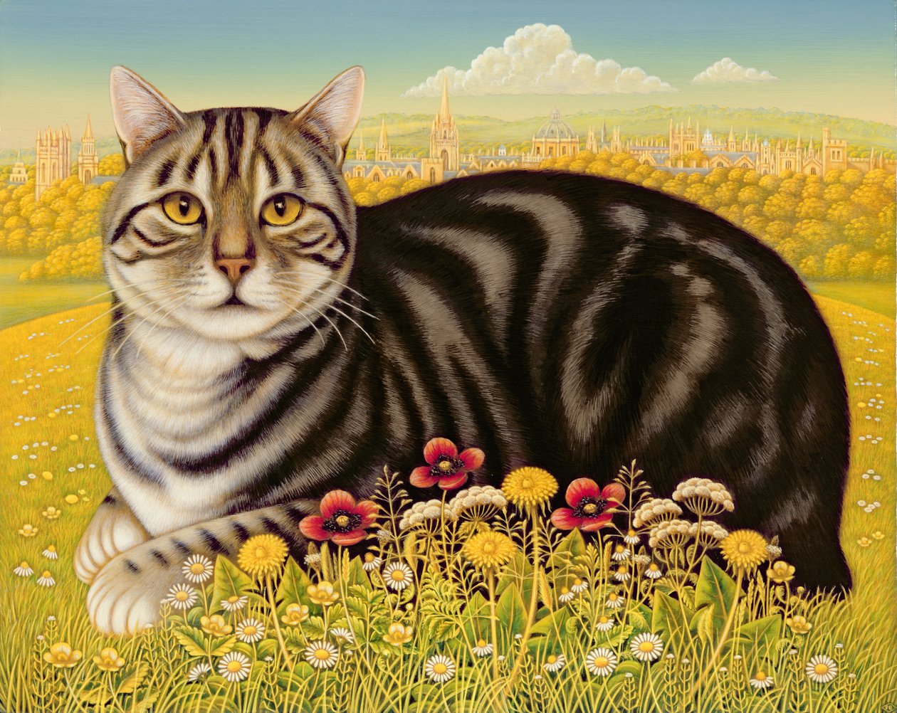 Die Oxford-Katze, 2001 von Frances Broomfield