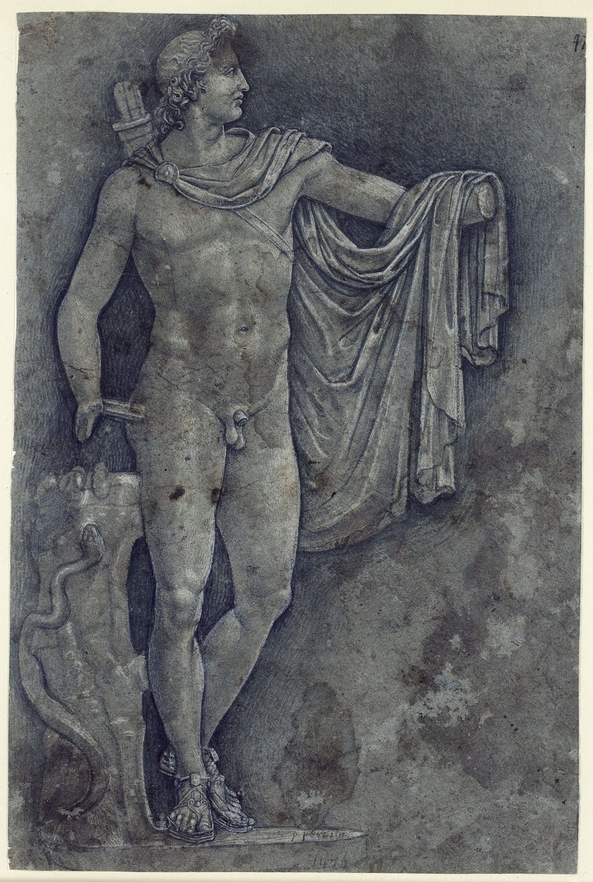 Apoll vom Belvedere von Francesco Francia