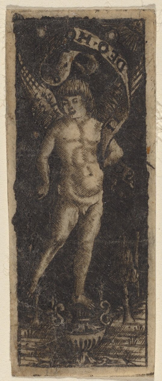 Cherub auf einer Vase mit Inschrift: "SOLI DEO HONOR" von Francesco Francia or Peregrino da Cesena