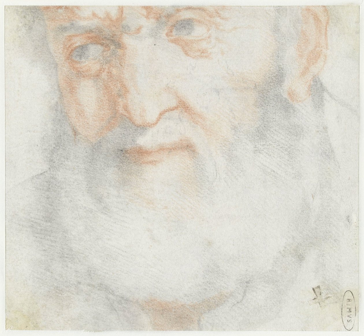 Kopf eines alten Mannes mit Bart von Francesco Furini (attributed to)