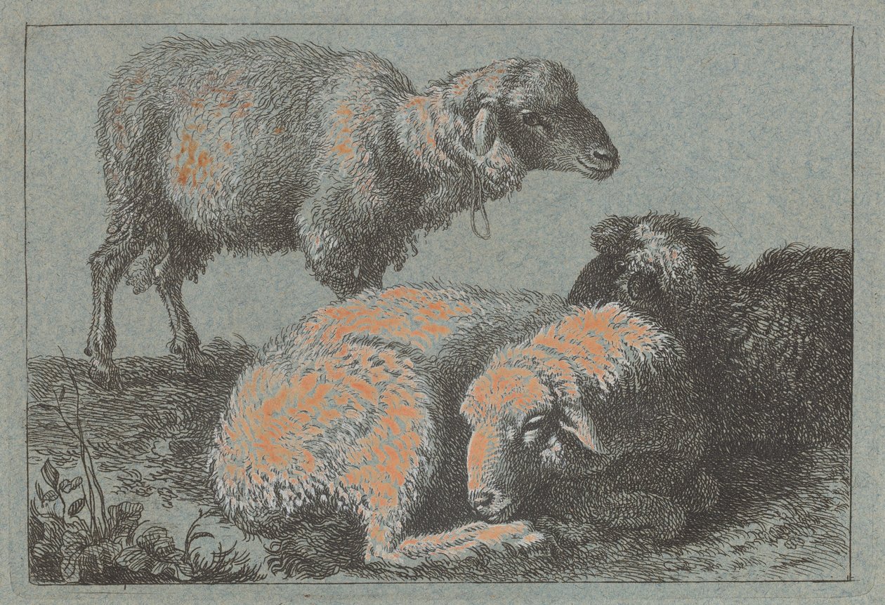 Zwei liegende Schafe und ein stehendes Schaf, 1757-1758 von Francesco Londonio