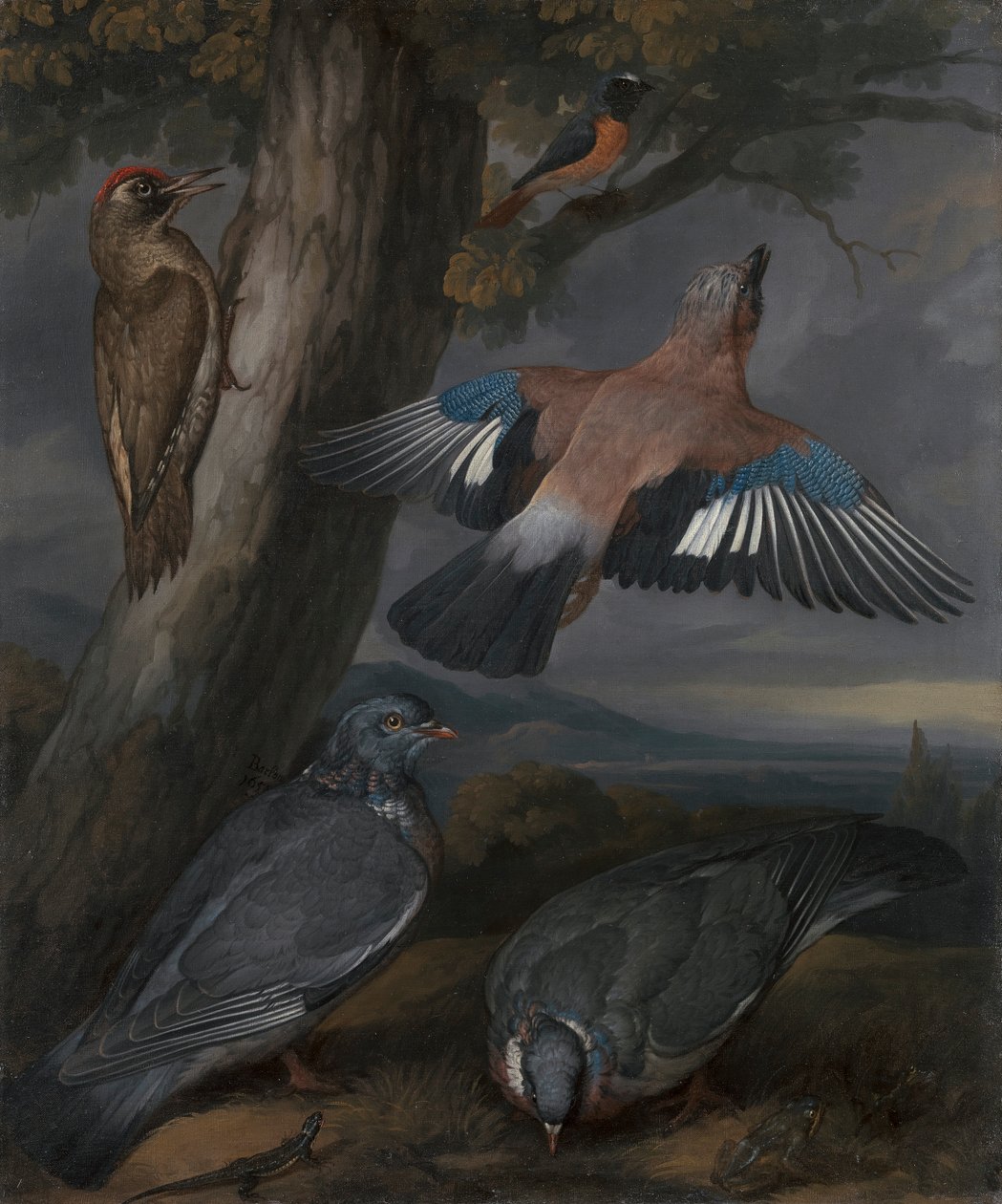 Eichelhäher, Grünspecht, Tauben und Rotschwanz von Francis Barlow
