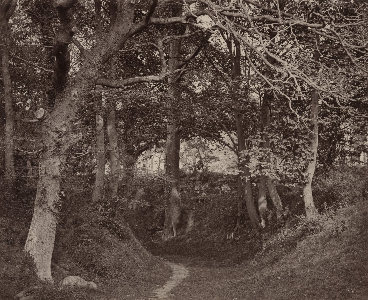 Glen Kenilworth von Francis Bedford