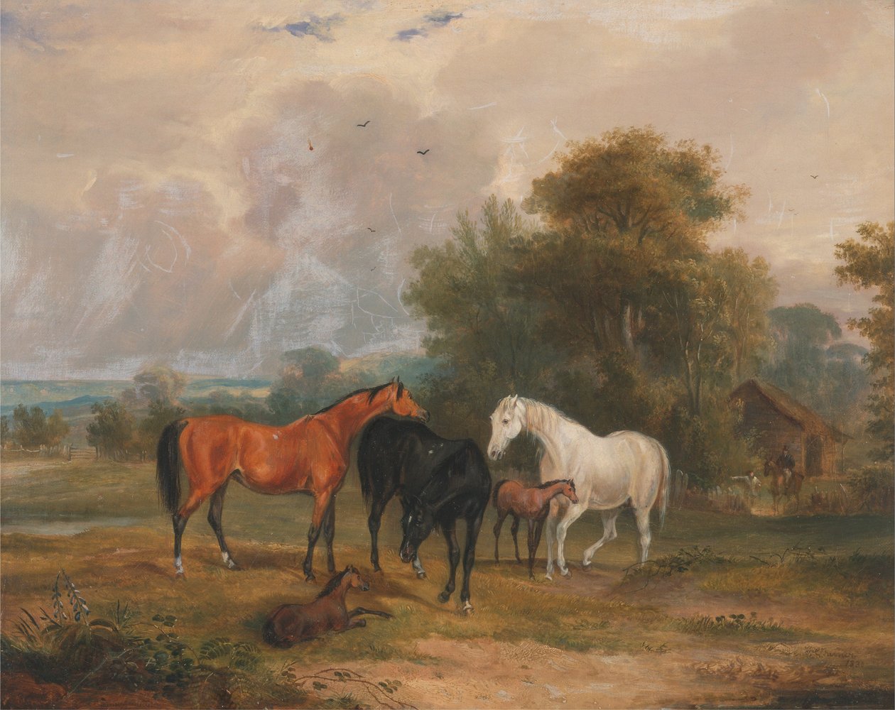 Pferde beim Grasen: Stuten und Fohlen auf einer Wiese von Francis Calcraft Turner