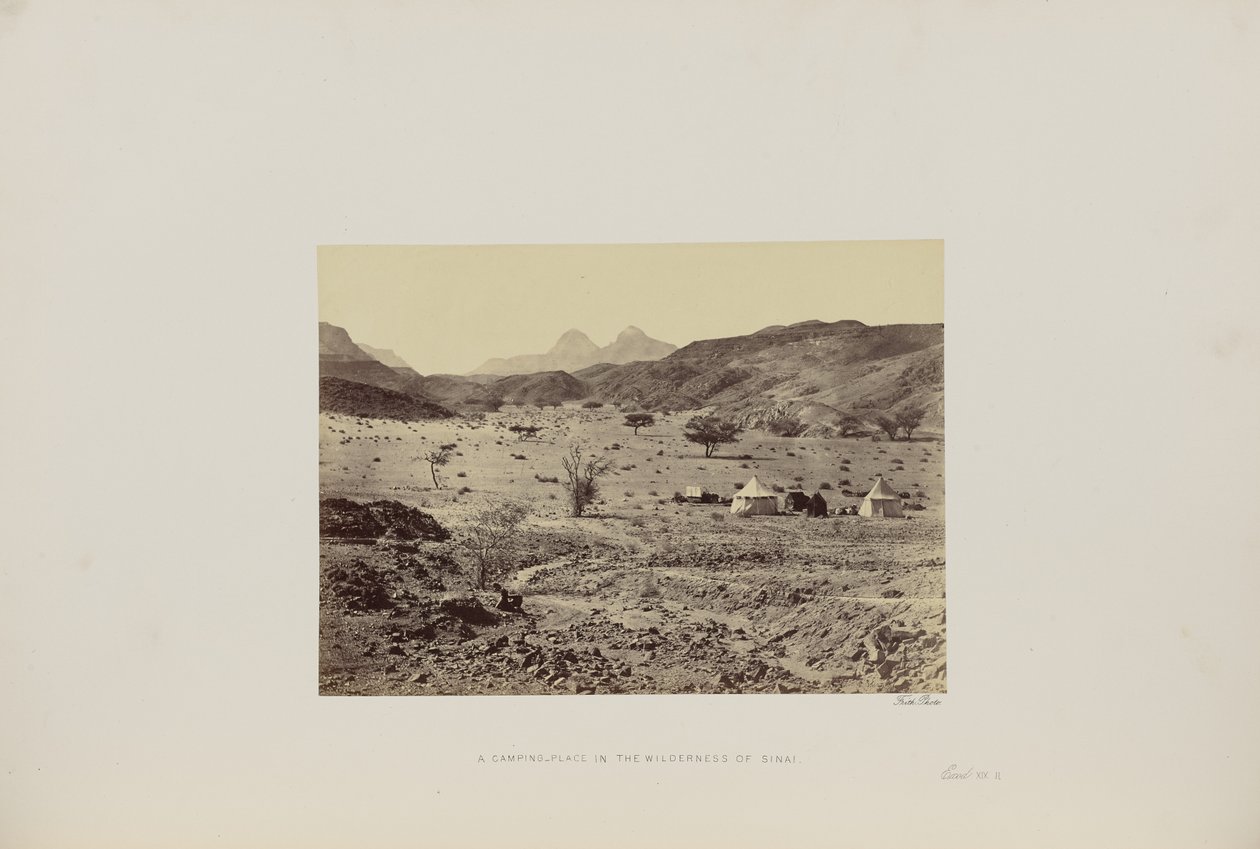 Ein Lagerplatz in der Wüste Sinai von Francis Frith