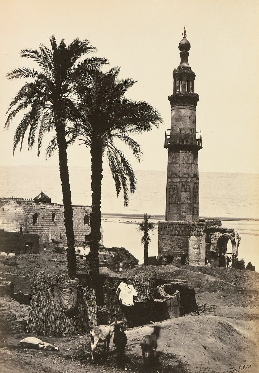 "Ägypten und Palästina": Blick auf Girgeh, Oberägypten von Francis Frith