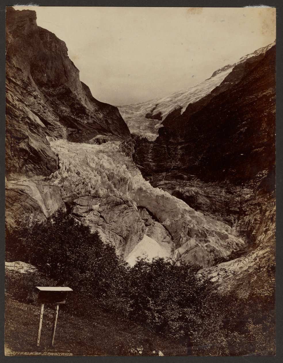 Oberer Gletscher Grindelwald von Francis Frith