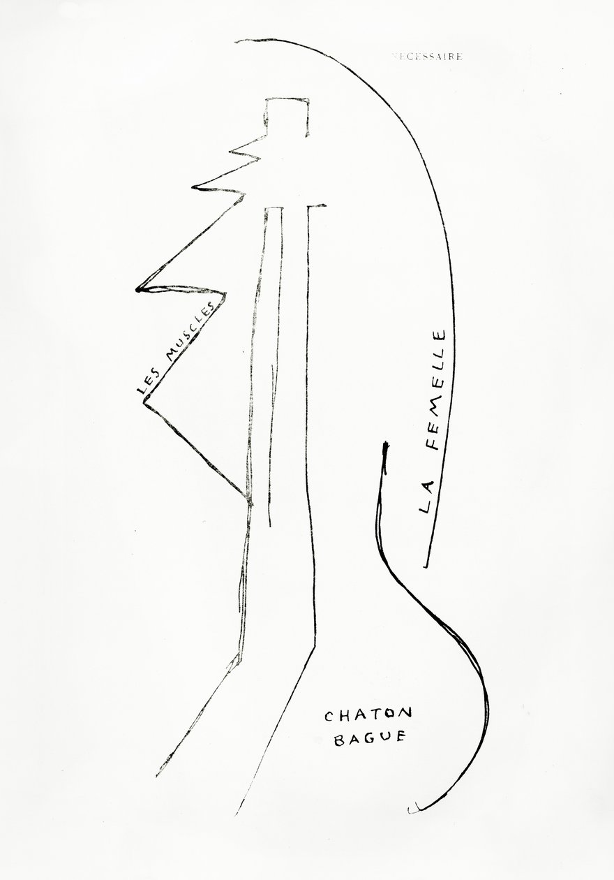 Poemes et Dessins de la Fille nee sans Mere, Nr.23, veröffentlicht von Imprimeries Reunies, Lausanne von Francis Picabia